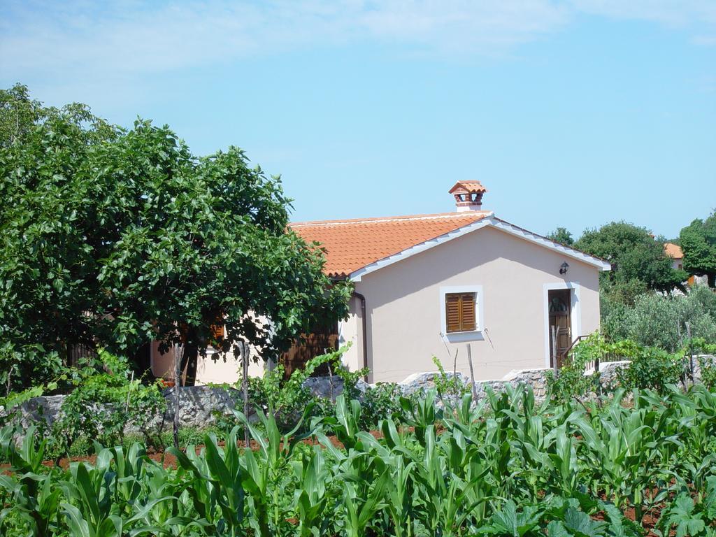 Villa Dorina Barban Quarto foto